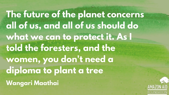 forest management quotes